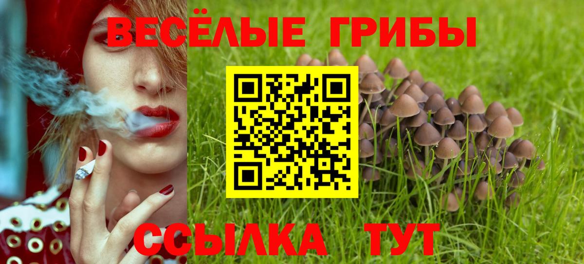 Галлюциногенные грибы мухоморы Родники